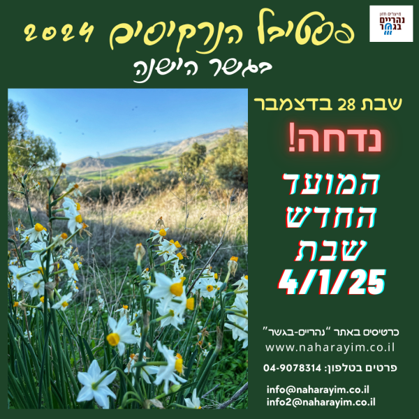 דחיית פסטיבל הנרקיסים דחיית פסטיבל הנרקיסים