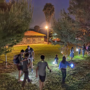 עששיות קיץ עששיות קיץ