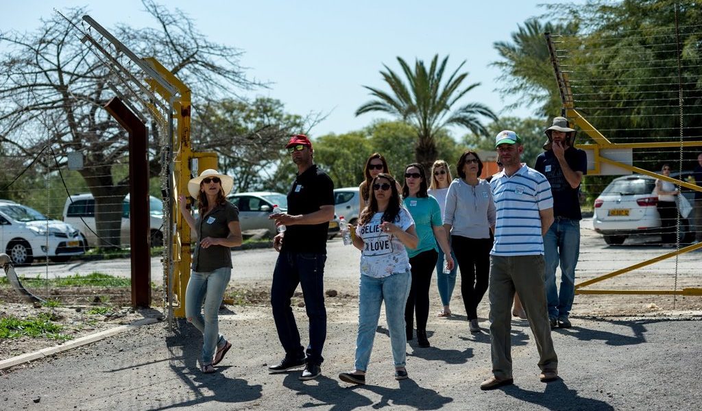 פעילות חברות וארגונים